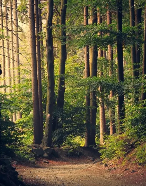 Got An Appetite For Adventure? The Best Nature Trails In Luxembourg