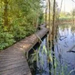 Nature Luxembourg