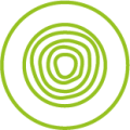 Clt-Logo