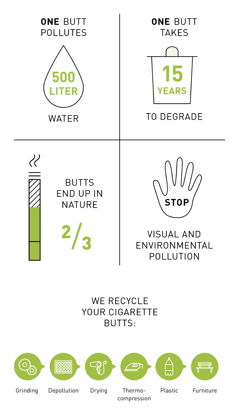 Butt Infografic
