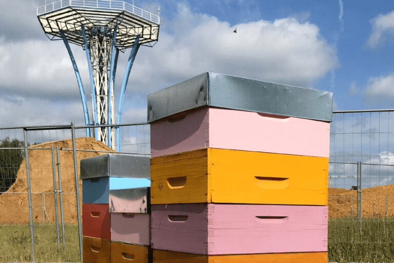 Neuer Bienenstockstandort