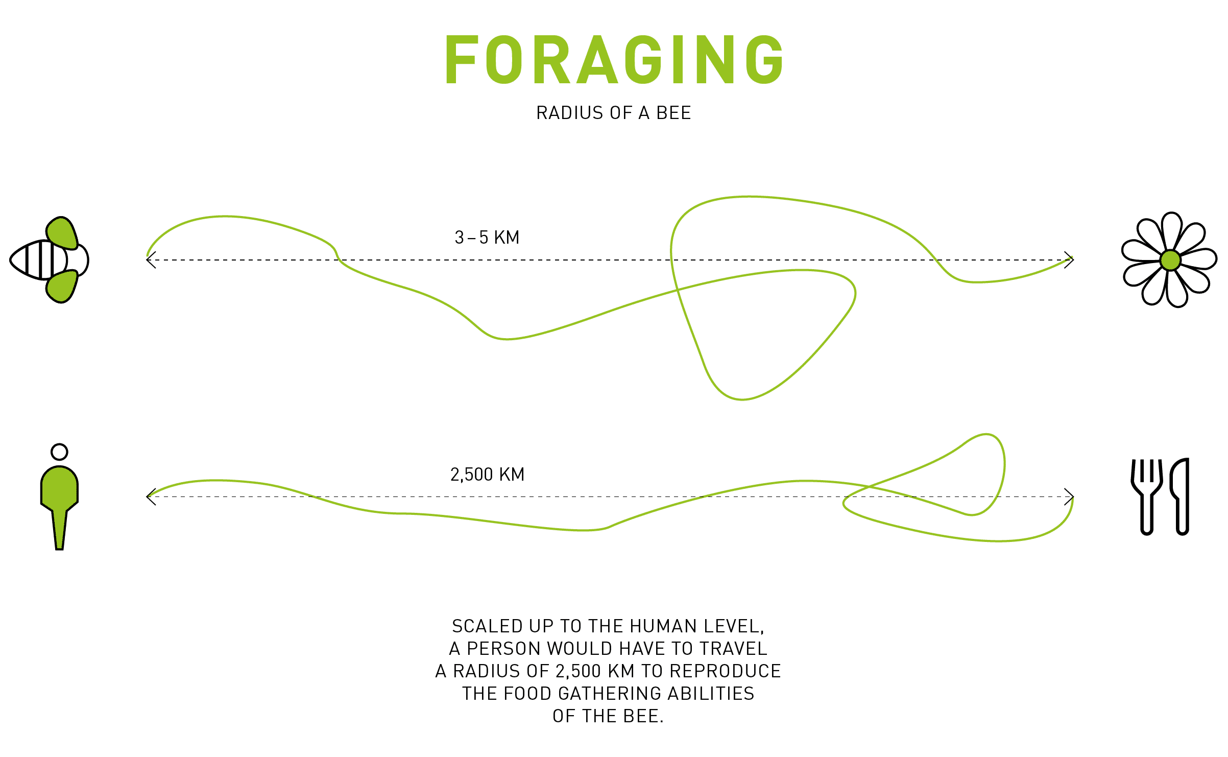 Foraging