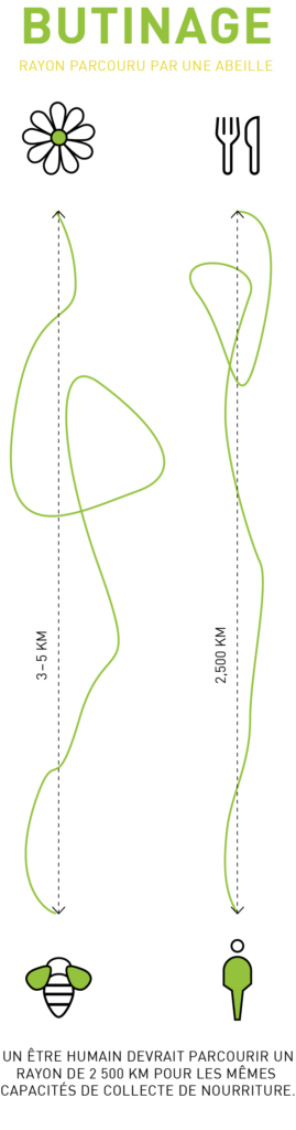 Asset 8@5X 1